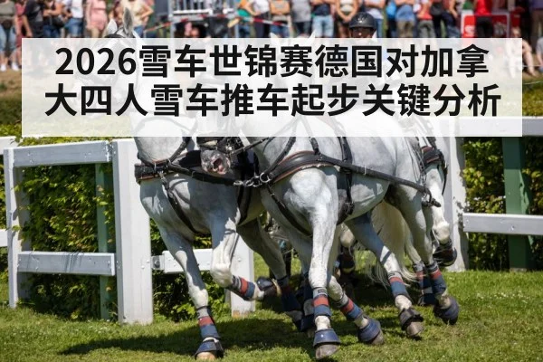 2026雪车世锦赛德国对加拿大四人雪车推车起步关键分析