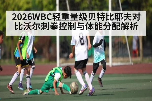 2026WBC轻重量级贝特比耶夫对比沃尔刺拳控制与体能分配解析